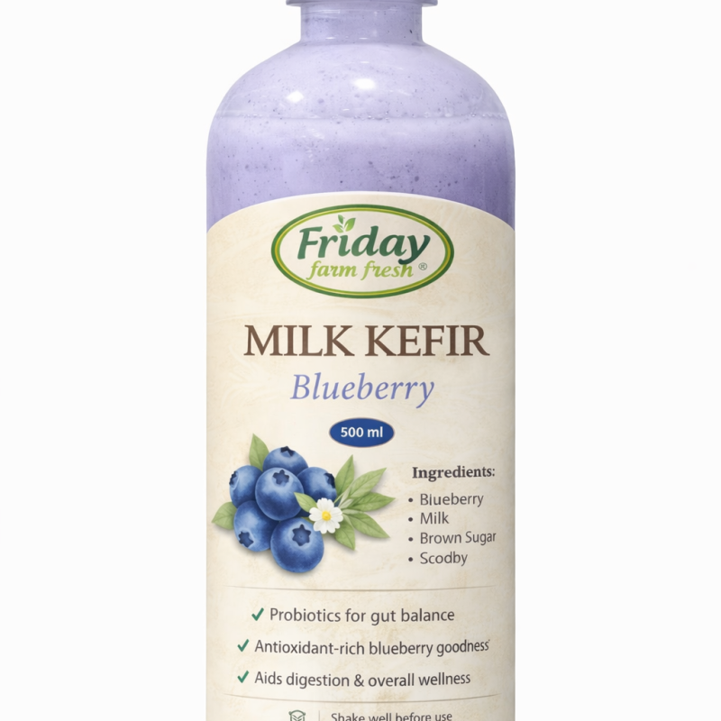Milk Kefir – Blueberry