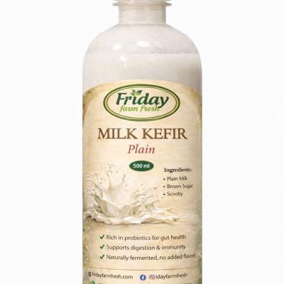 Milk Kefir – Plain