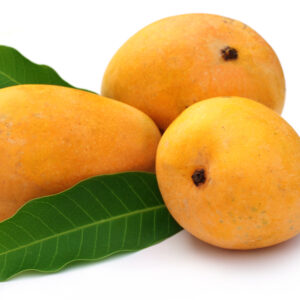 Sindhri Mango